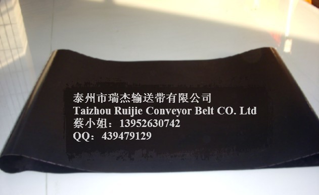 供应抗静电防偏导条粘合机带
